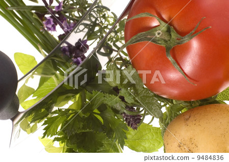 cut fresh herbs and vegatables cut fresh herbs and vegatables 9484836