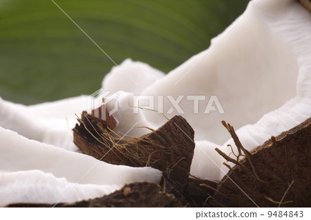 open coconut and green leaf. exotic open coconut and green leaf. exotic 9484843