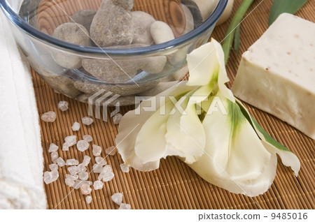 welness products 9485016