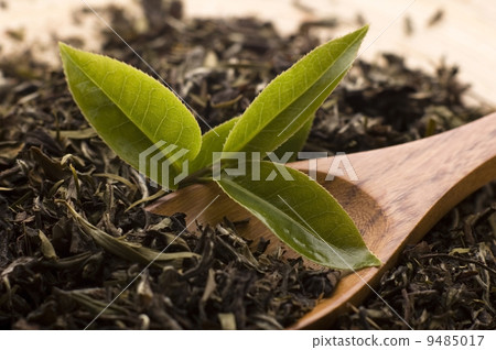 tea 9485017