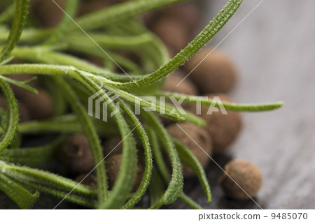 allspice with fresh rosemary 9485070