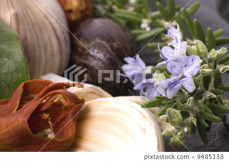 herbs and spices 9485138