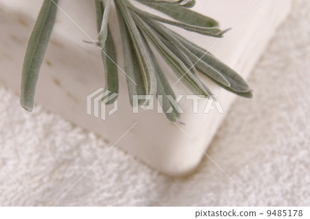 milk soap and fresh herbs 9485178