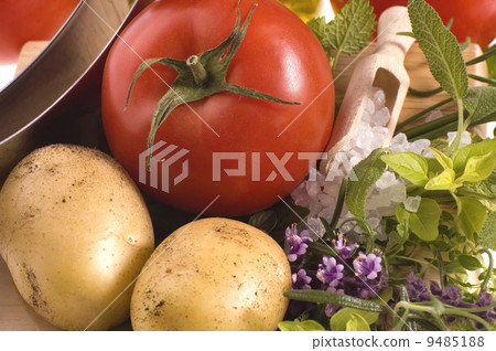 cut fresh herbs and vegatables cut fresh herbs and vegatables 9485188