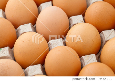Heap of farm egg close up 9485229