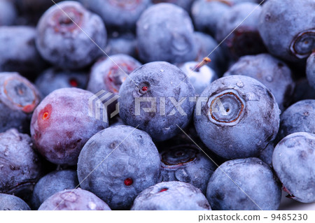 blueberry 9485230