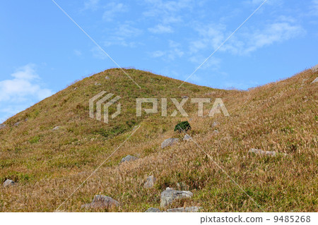landscape in the mountain landscape in the mountain 9485268