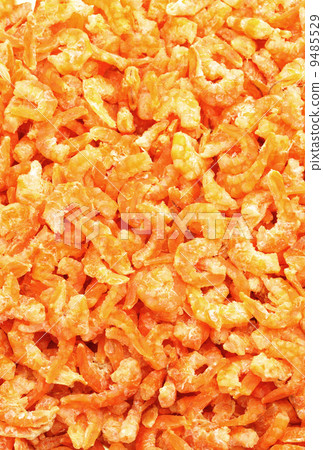 dry shrimp 9485529