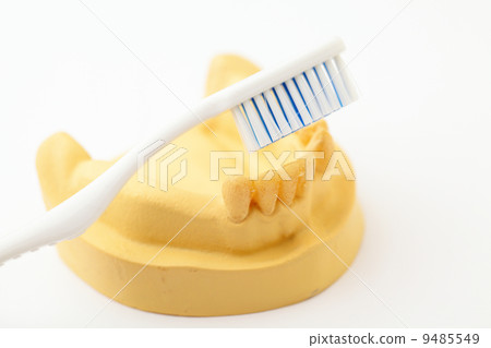 Denture and toothbrush 9485549