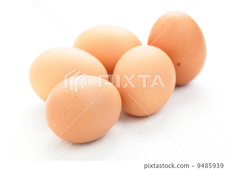 fresh eggs 9485939