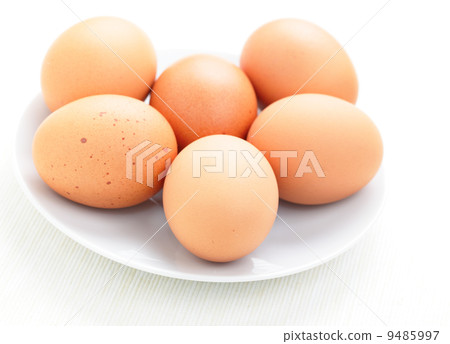 fresh eggs 9485997