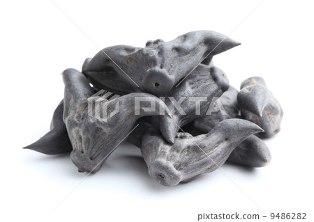Horn Shaped Water Caltrop Horn Shaped Water Caltrop 9486282