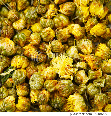 Heap of dried chamomile flower Heap of dried chamomile flower 9486485