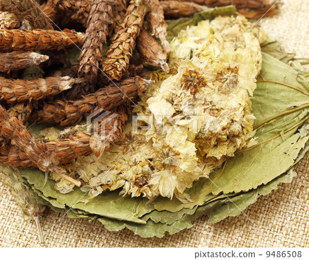 Chinese herbal medicine 9486508
