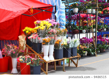 flower fair for chinese new year 9486515