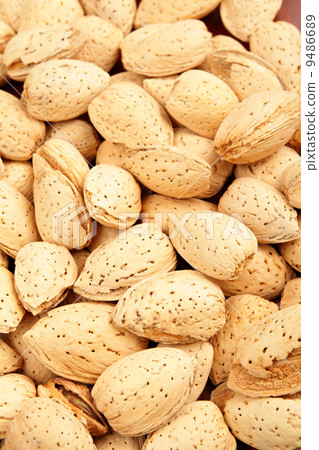 照片素材(图片): almond nut
