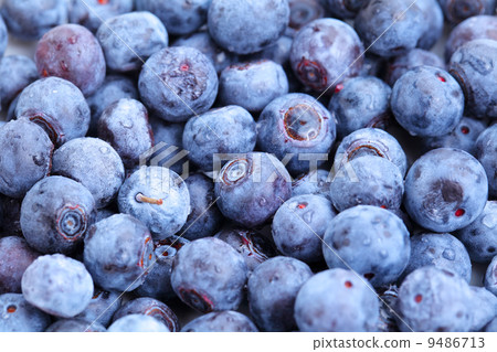 blueberry 9486713
