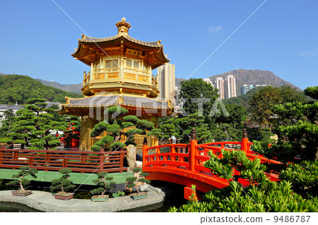 gold pavilion in chinese garden gold pavilion in chinese garden 9486787