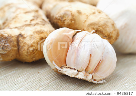 garlic garlic 9486817