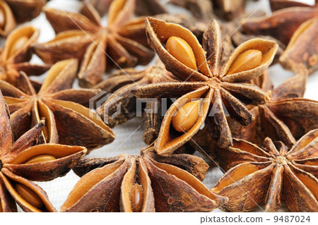 Stars anise 9487024