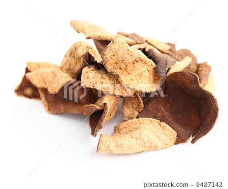 chen pi 9487142
