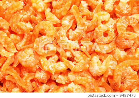 dry shrimp dry shrimp 9487473