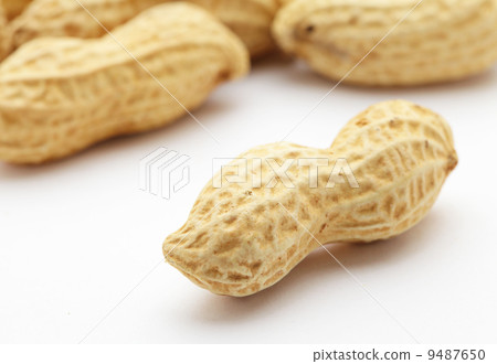 Peanut 9487650