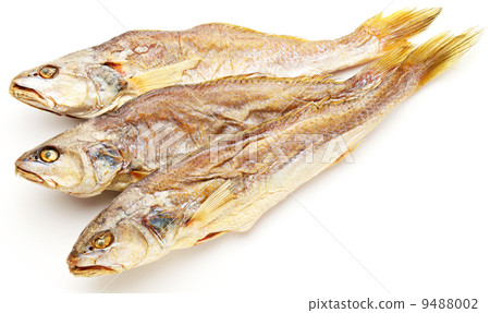Dried salted fish 9488002