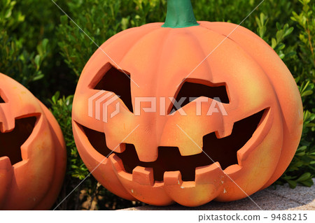 pumpkin face pumpkin face 9488215