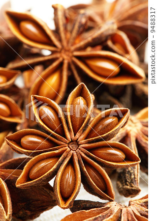 Stars anise 9488317