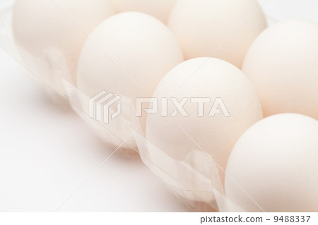 White egg White egg 9488337