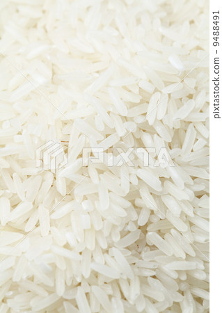 Rice 9488491
