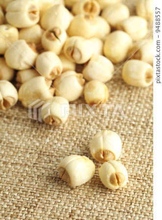 Lotus seed on linen background Lotus seed on linen background 9488557