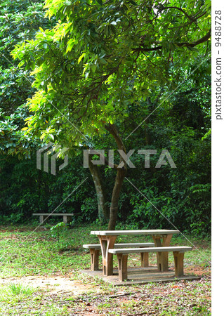 picnic place 9488728