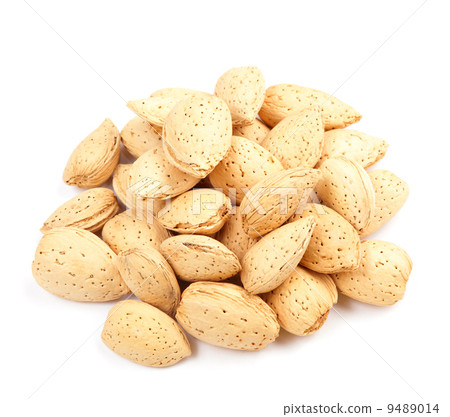 almond nut 9489014