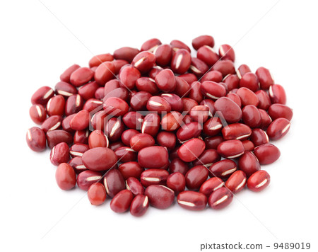 Red Bean Adzuki isolated on white background 9489019
