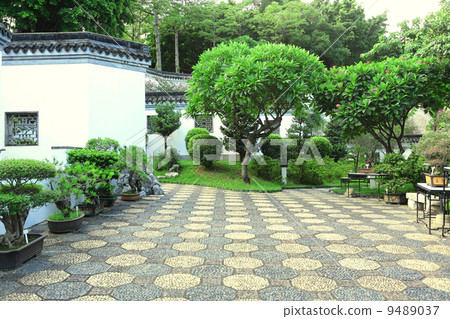 chinese garden 9489037