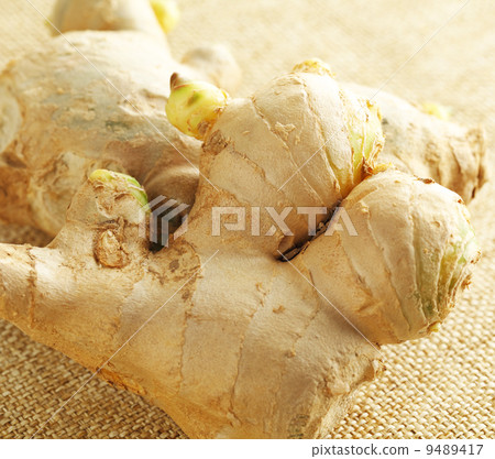 Ginger on linen background Ginger on linen background 9489417