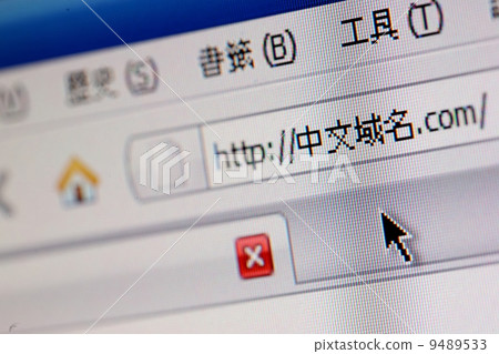 A chinese domain name 9489533