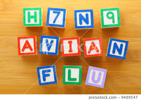 H7N9 bird flu toy block H7N9 bird flu toy block 9489547