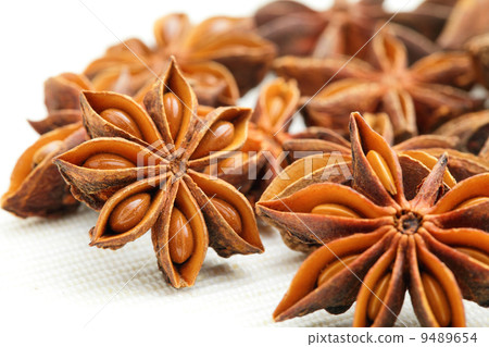 star anise star anise 9489654