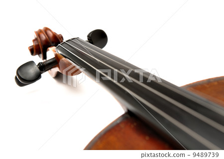 violin head violin head 9489739