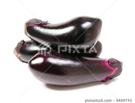aubergine aubergine 9489743