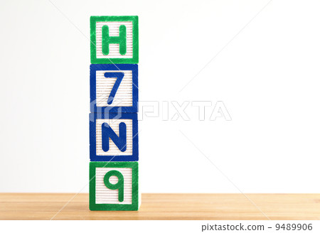 H7N9 wooden toy block 9489906