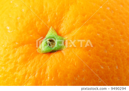 orange peel close up 9490294
