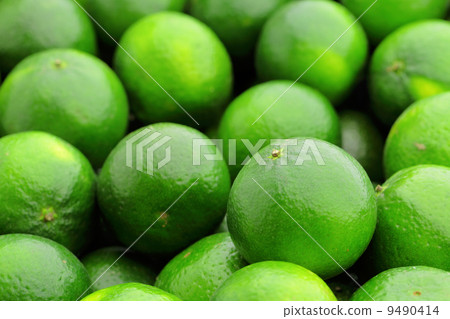 lime citrus fruit lime citrus fruit 9490414