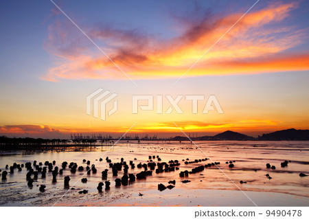 Sunset coast 9490478