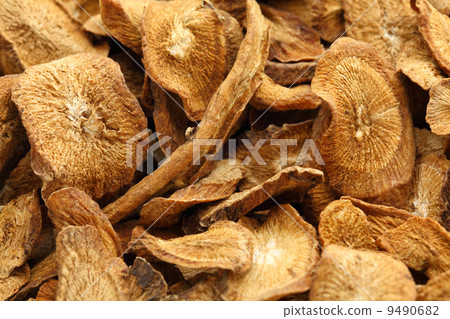 Herbal , dry burdock root 9490682
