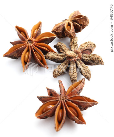 Stars anise 9490776