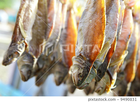 Dried Fish Dried Fish 9490831